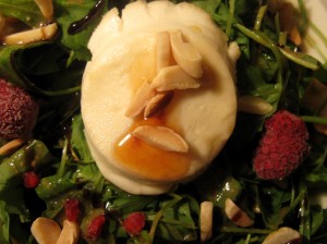 Gratinierter Ziegenkäse