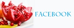 facebookNeu